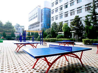 标准化乒乓球场