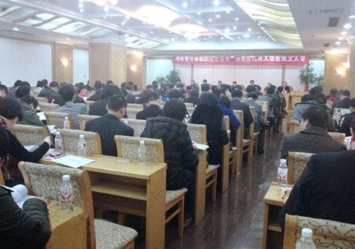湖南省社会组织促进会正式成立并召开了第一届会员代表大会.jpg
